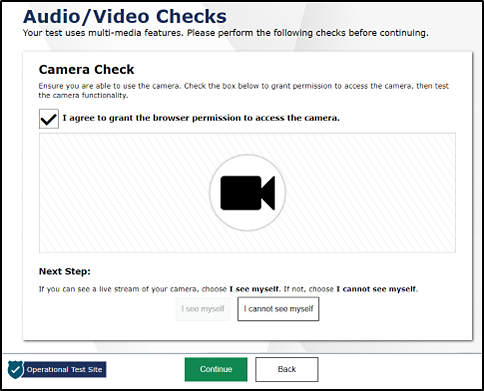 Audio/Video Check screen with checkbox for agreeing to give permission to access the camera.