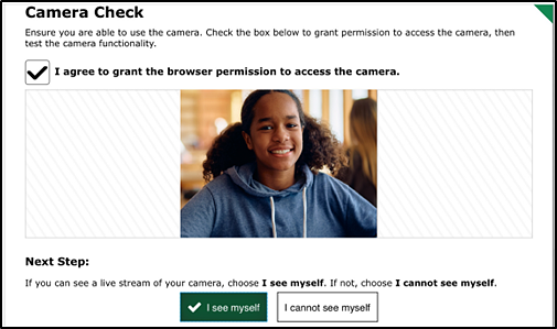 Camera Check section of the Audio/Video Checks page.