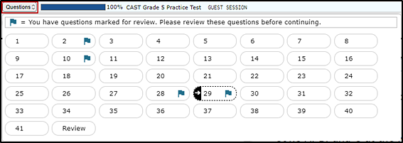 Questions toggle list showing the Review button that returns the student to the Submit Test page.