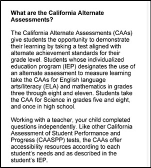A description of the CAAs and the SSR's content-area assessments on the first page of an SSR.