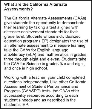 A description of the CAAs and the SSR's content-area assessments on the first page of an SSR.