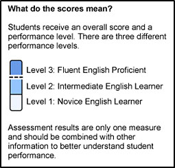 A description of the scores for overall performance levels on the first page of an SSR.