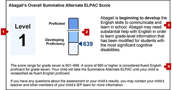 The section on an SSR with the student's overall score and callouts indicating the performance level, a measurement gauge, a performance summary, and statement of score ranges.