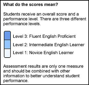 A description of the scores for overall performance levels on the first page of an SSR.