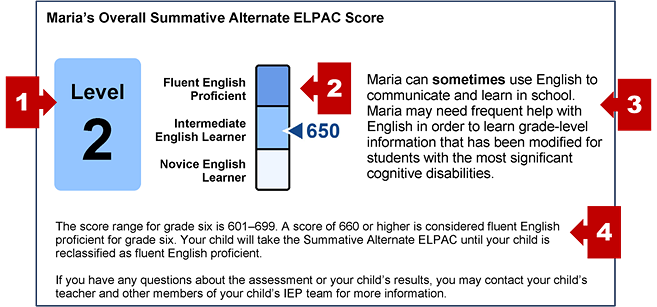 The section on an SSR with the student's overall score and callouts indicating the performance level, a measurement gauge, a performance summary, and statement of score ranges.